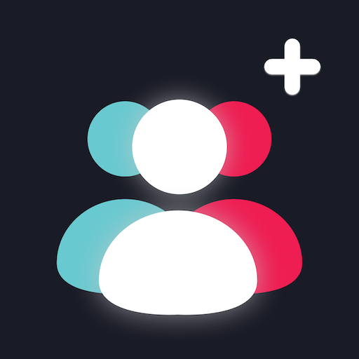 TikTok Followers